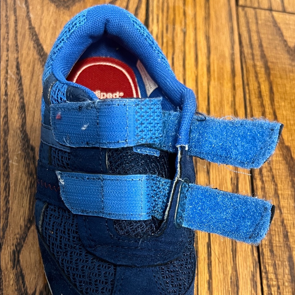 Pediped Kids Blue Sneakers - Picture 7 of 15